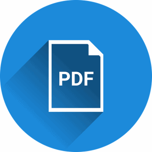 pdf to word