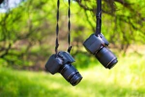 Online Photo Proofing For Photographers