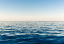 Serenity by the Sea: Your Itinerary for a Blissful Day in Sopot Sea