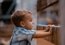 Navigating Child Support: Insights and Considerations for Modern Families Navigating Child Support: Insights and Considerations for Modern Families