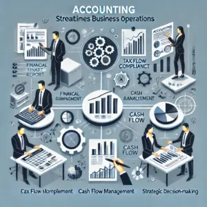 How Professional Accounting Can Streamline Business Operations