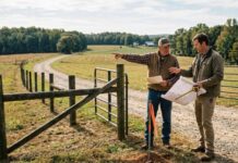 How to Resolve Property Easement Disputes in North Carolina: A Landowner’s Guide