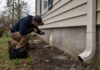 The 2026 Pest Prevention Calendar: Simple Steps for Homes and Small Businesses